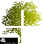 Favicon Favicon