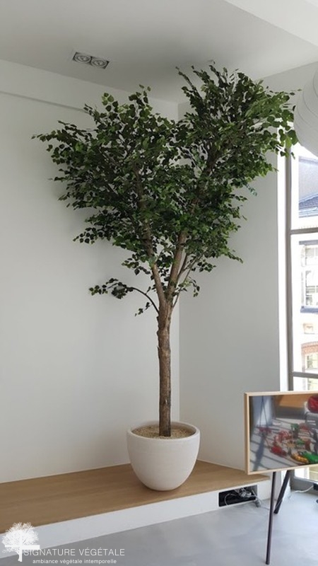 Arbres semi-naturels - Arbrakit l'arbre pour la décoration intérieure